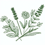 Zitrone Knoblauch Kur